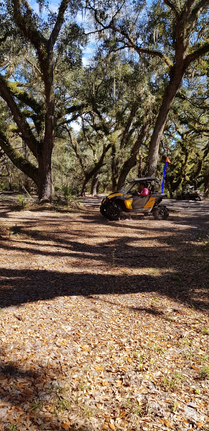 River Ranch - Photo 6