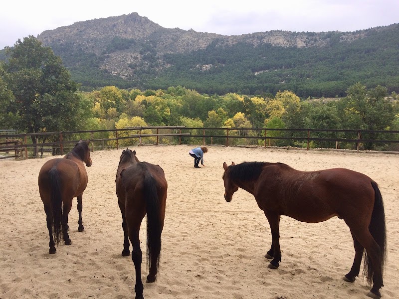 Enti - Coaching Con Caballos