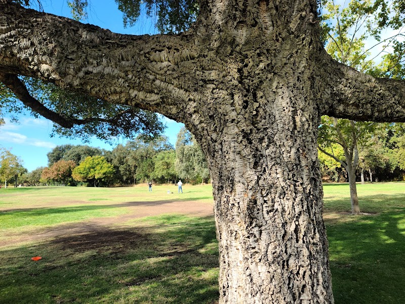 East La Loma Park photo 1