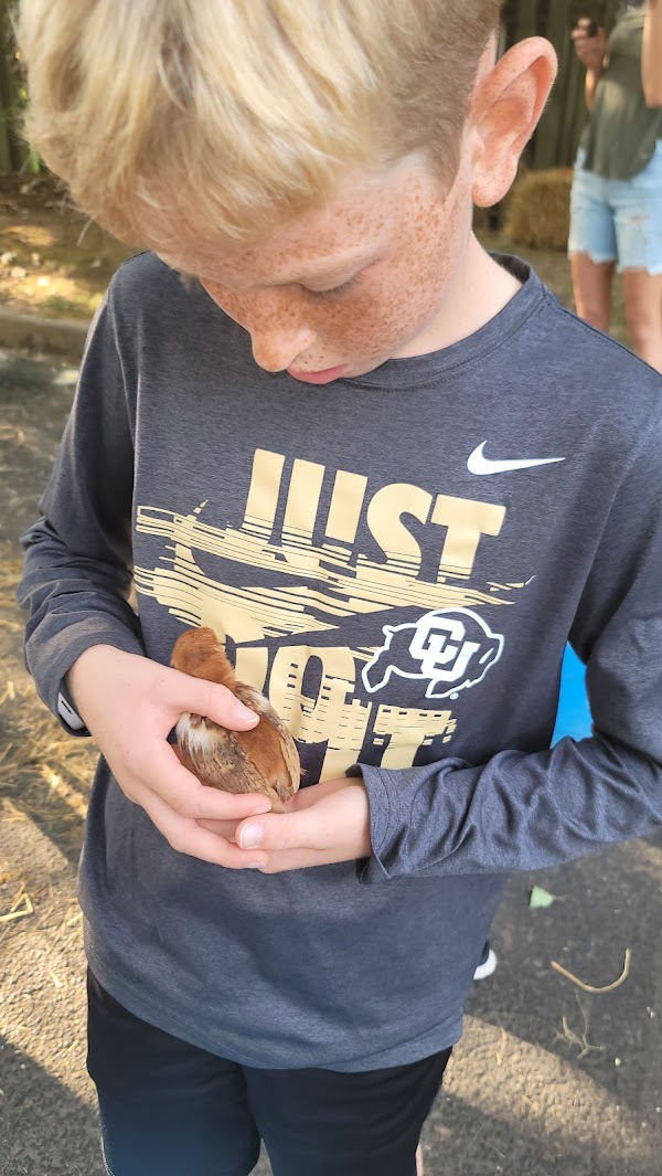 Photo by Matthew Gilles