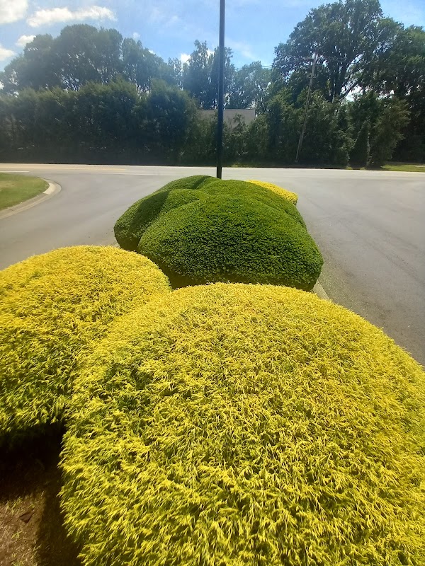 WOODS OF ST THOMAS CLUB exterior