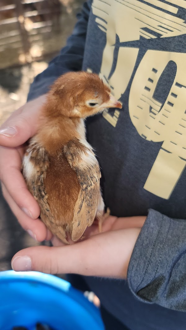 Photo by Matthew Gilles