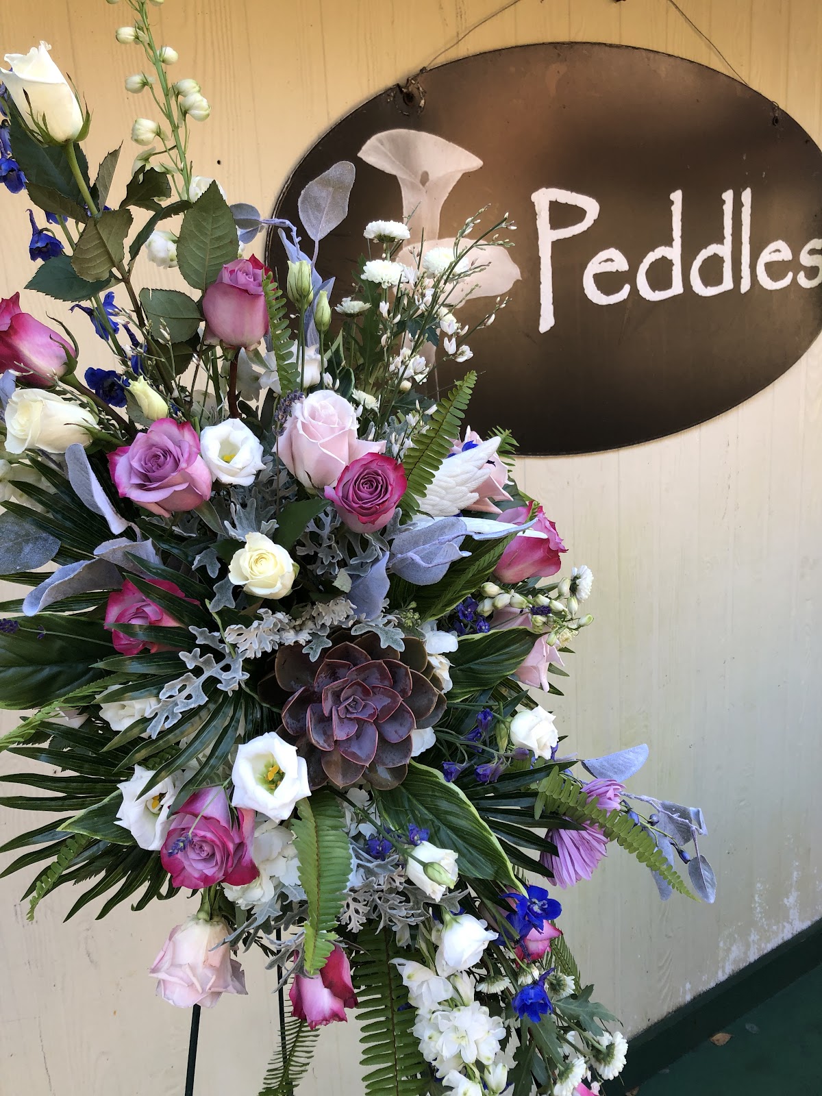 Peddles: Google Places image 2