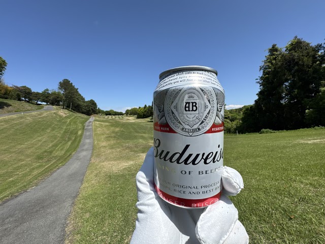 Akashi Golf Club - Photo 6