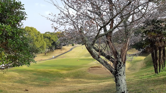 Akashi Golf Club - Photo 7