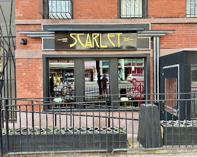 Scarlet photo 1