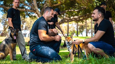 דוגס קוד Dogs Code