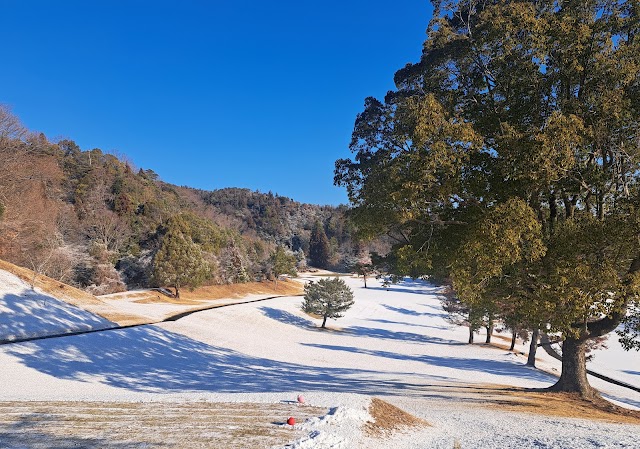 Okayama International Golf Club - Photo 8