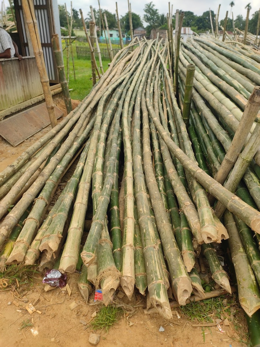 Debnath Bamboo Center Google photo 1
