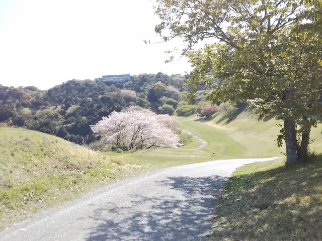 Sky Bay Golf Club - Photo 9