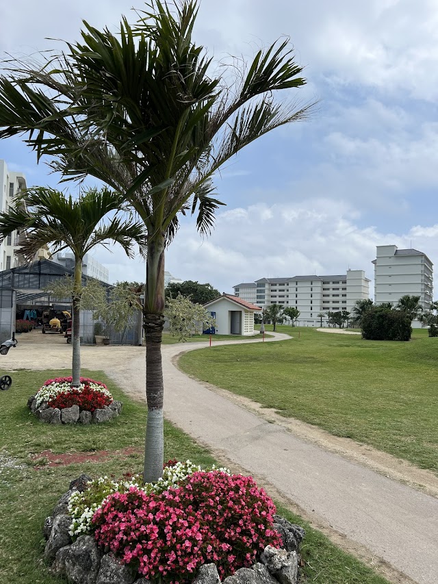 Maesato Golf Course - Photo 8