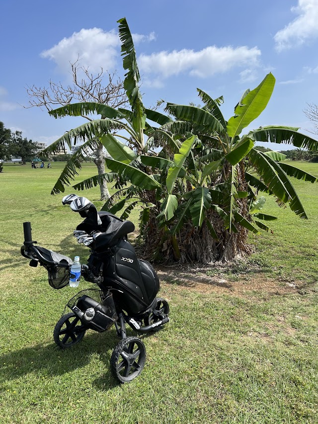Maesato Golf Course - Photo 9