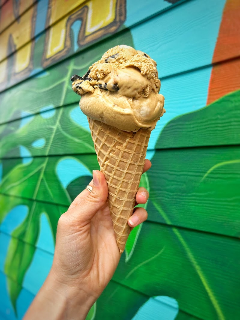 Native Joe's Scoop & Grind photo 4