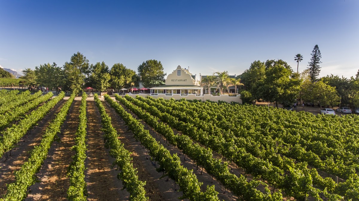 Skilpadvlei Wine Estate