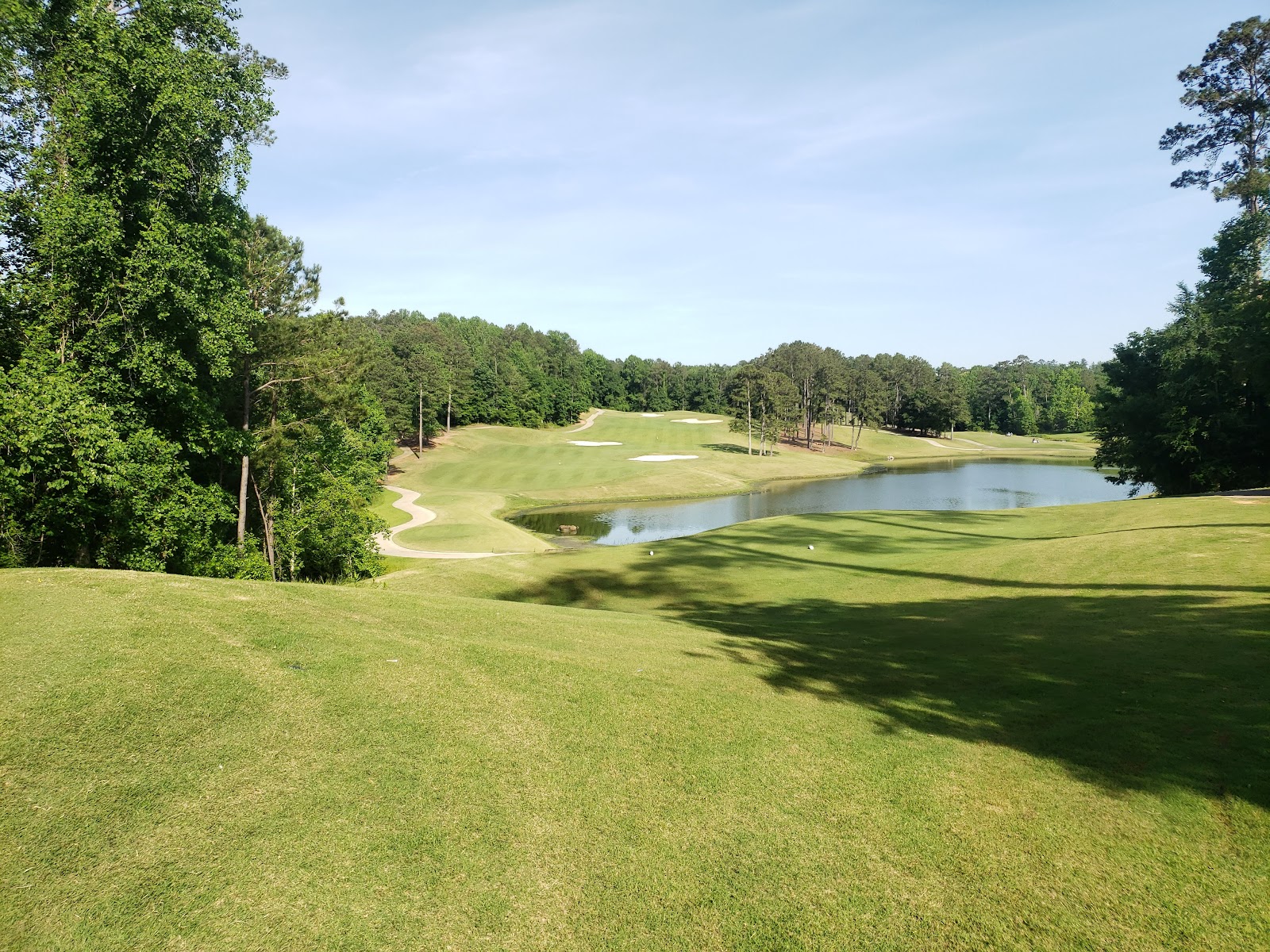 Cambrian Ridge - Canyon/Loblolly