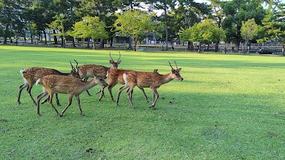 Noborioji Park