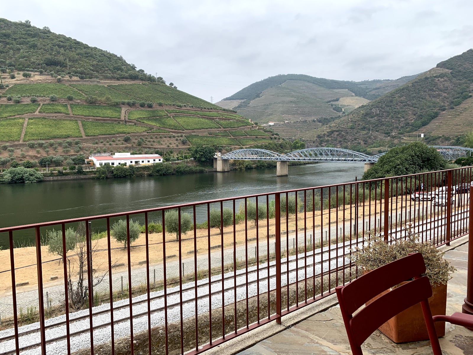 Best Dog-Friendly Hotels in Douro Valley, Portugal