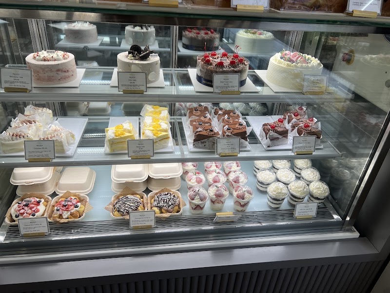 Brecotea photo 3