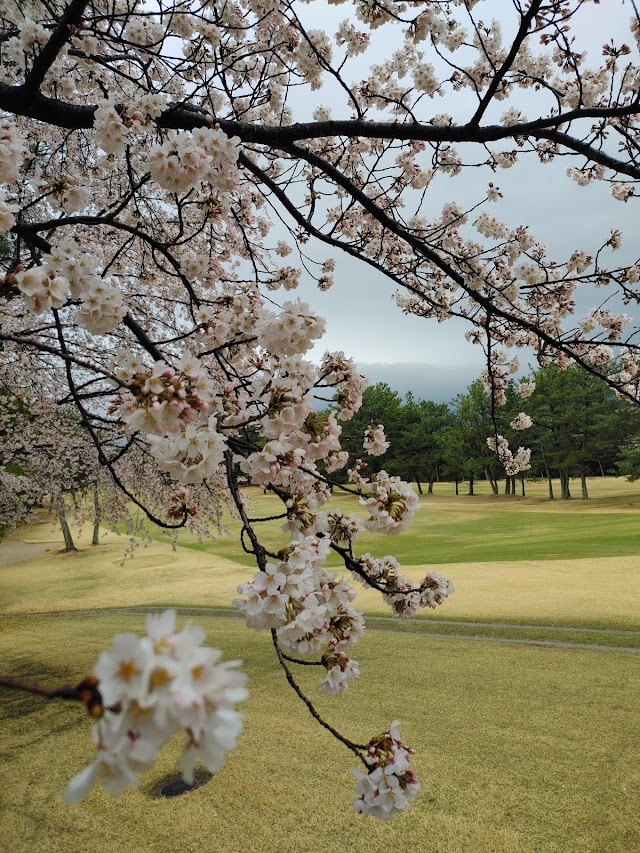 Okayama Golf Club Obie Course - Photo 4