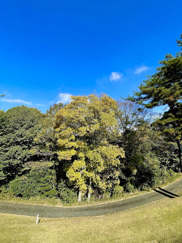 Okayama Golf Club Obie Course - Photo 5