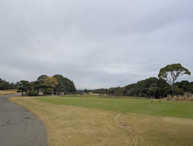 Great Kobe Golf Club - Photo 5