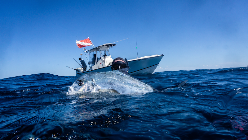 Topsail Island Fish & Dive Adventures