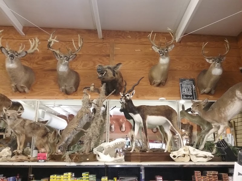 l&p Outfitters photo