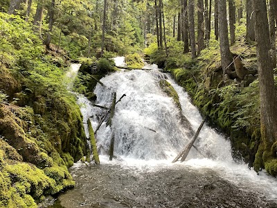 Little Zigzag Falls