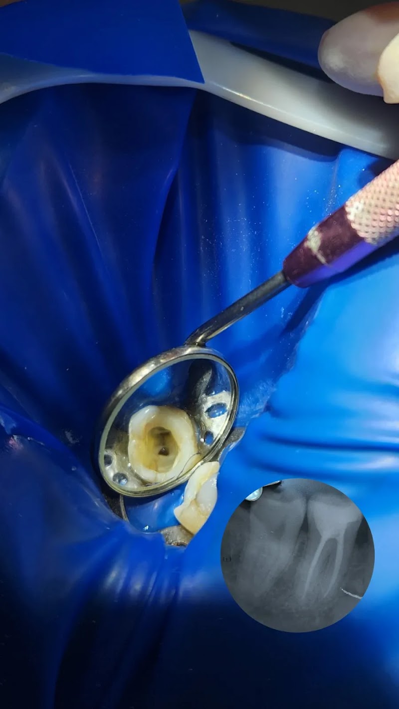 Endodontista - Dra. Ana Clara Dragon - foto 4