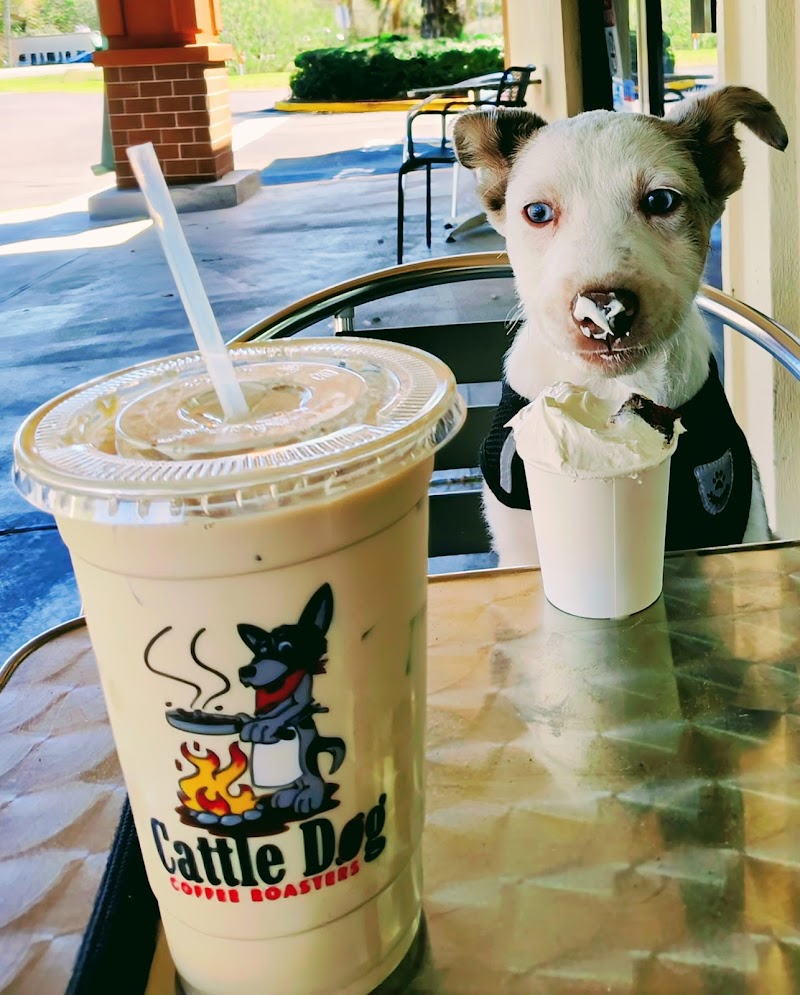 Cattle Dog Coffee Roasters photo 2