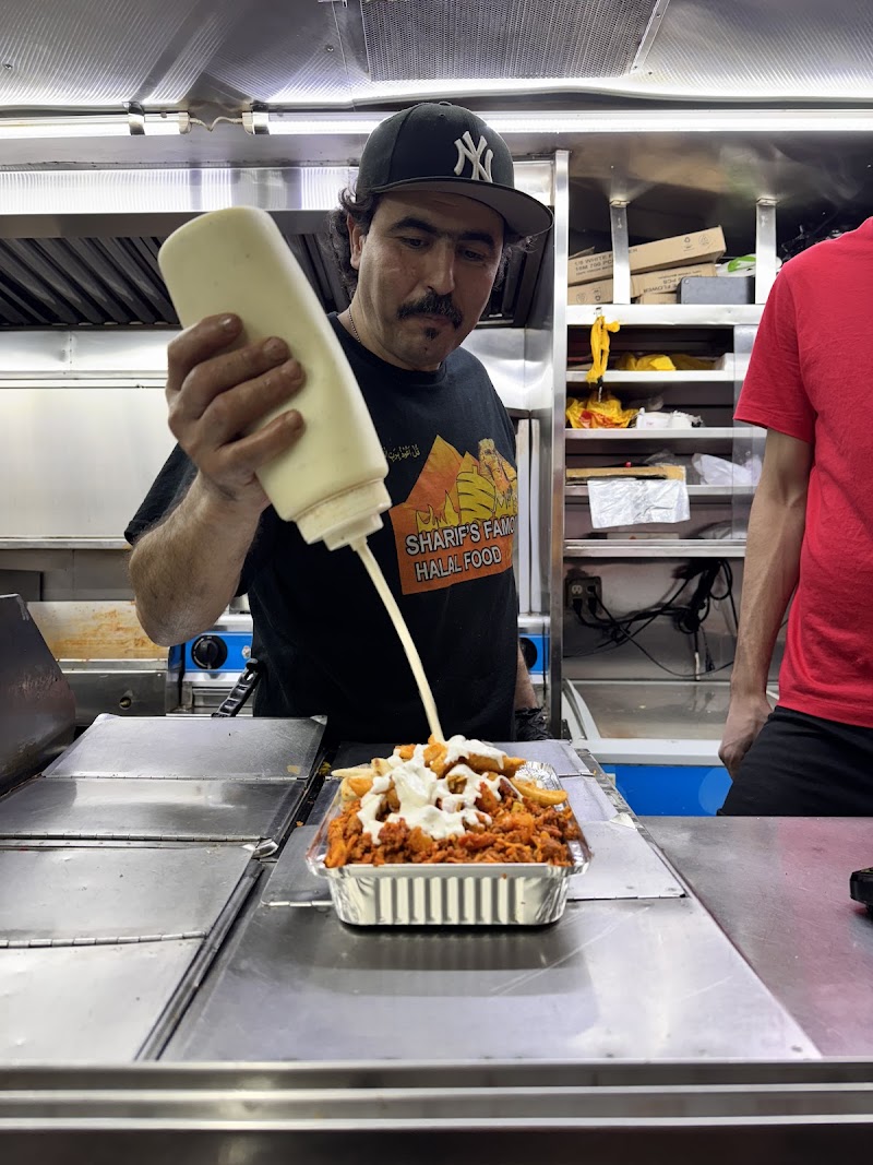 Sharif's Famous photo 4