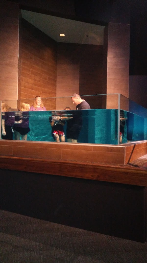 Photo by brenda griggs