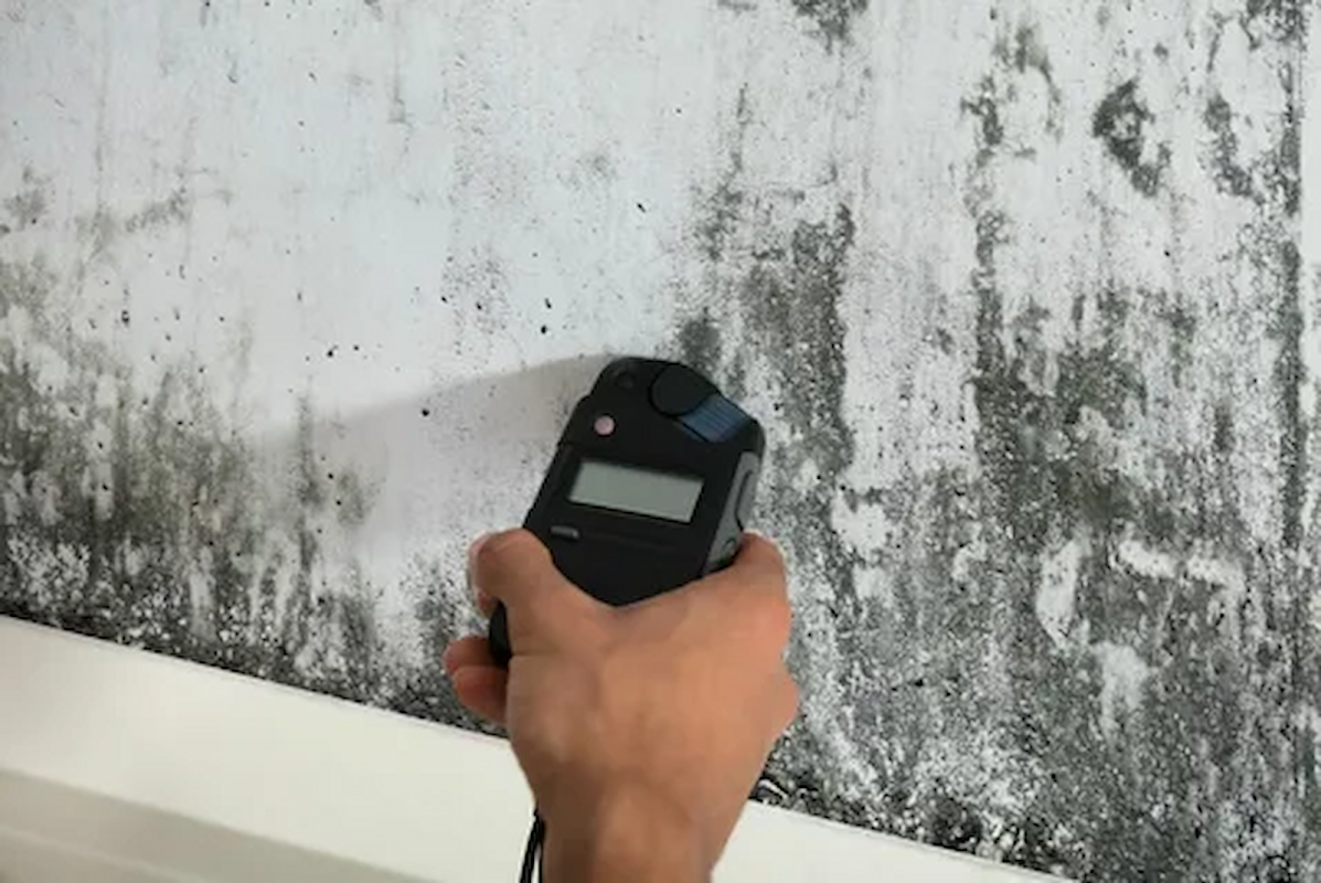 Advantage Mold Experts — photo