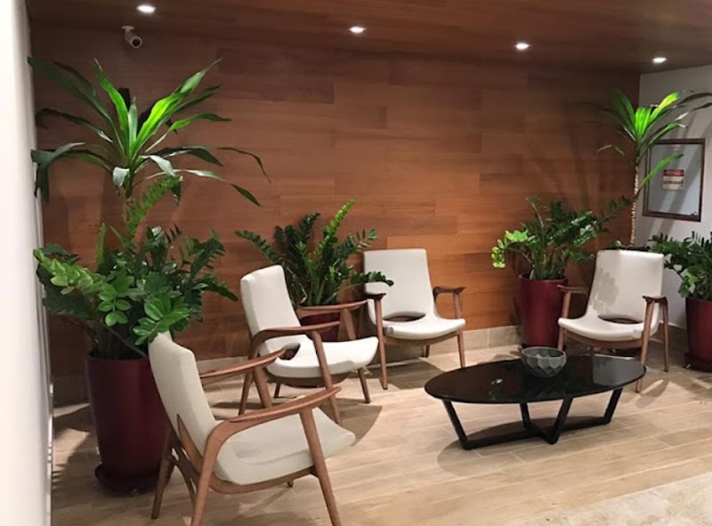 Dr. Taylla Ribeiro- Cirurgiã Dentista | Urgência 24h - foto 3