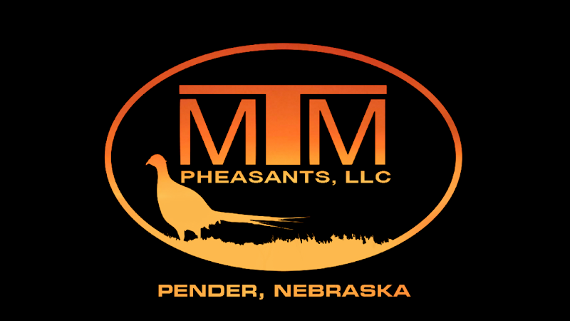 MTM Pheasants - Photo 1