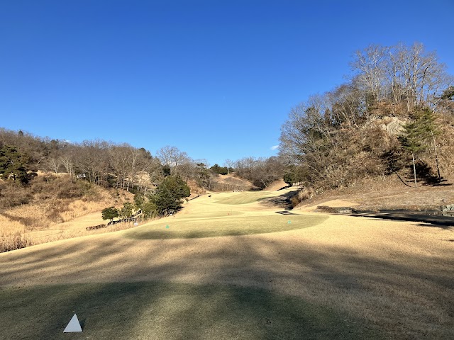 Rock Hill Golf Club - Photo 4