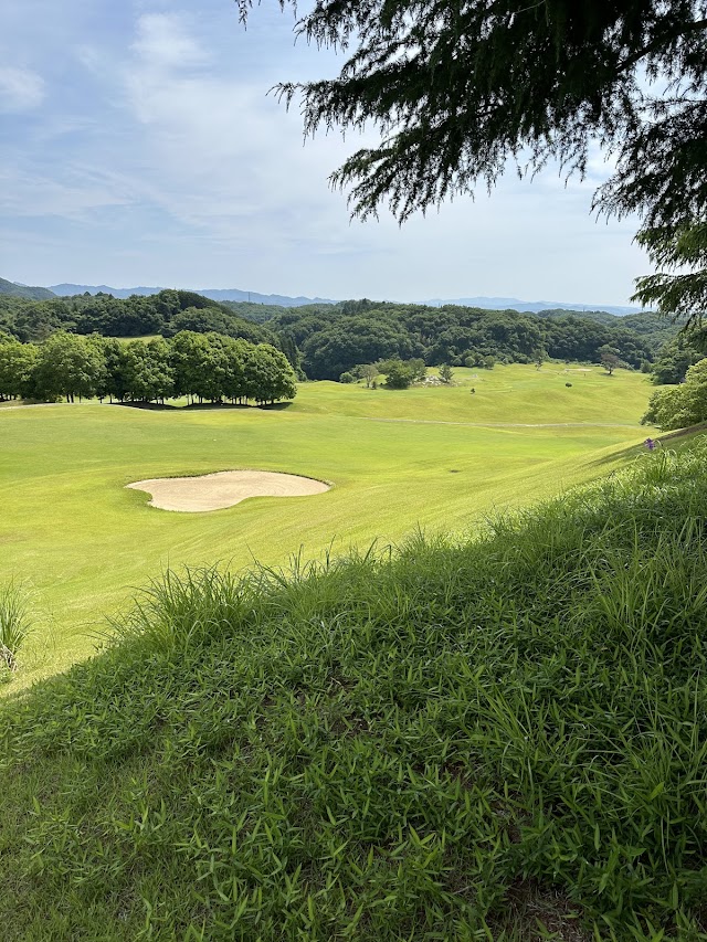 Rock Hill Golf Club - Photo 2
