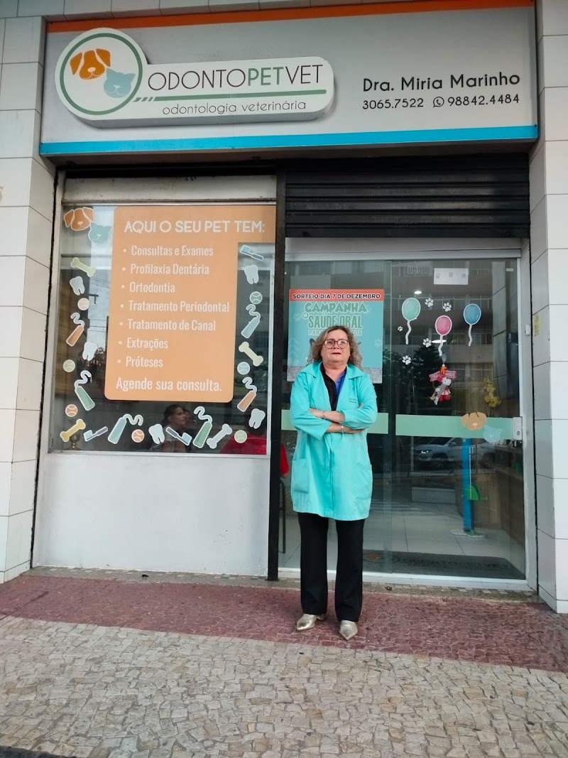 Odontopetvet - foto 2