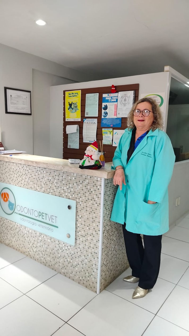 Odontopetvet - foto 3