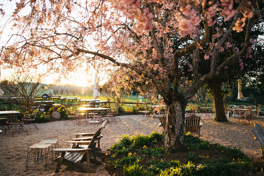 Croteaux Vineyards
