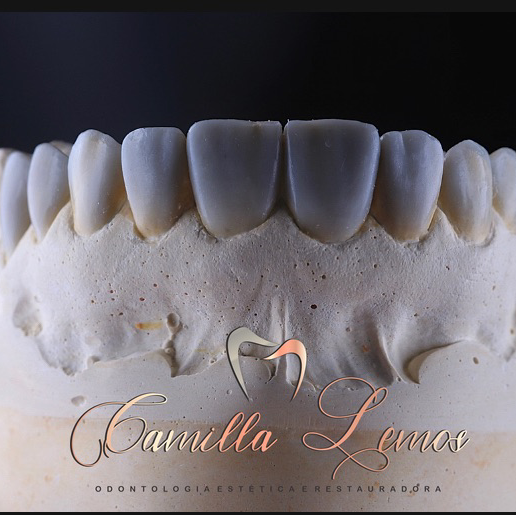 Dra Camilla Lemos - foto 3
