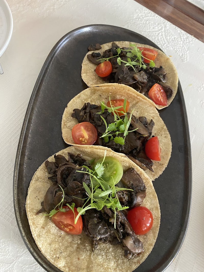 Bar Patrón Circular Quay photo 7