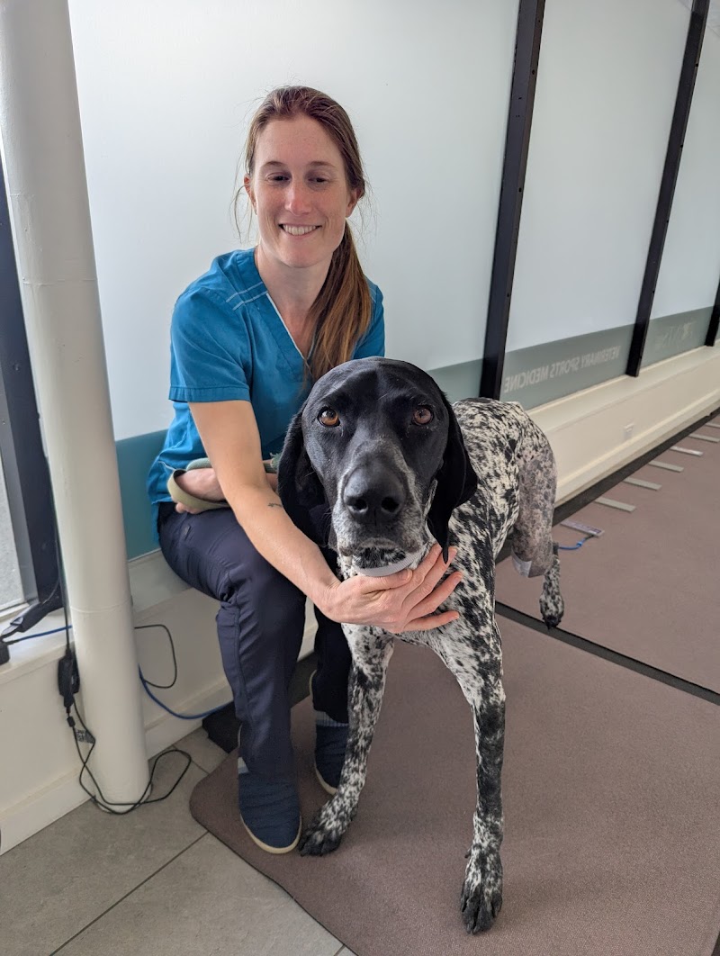 Points East West Veterinary Services