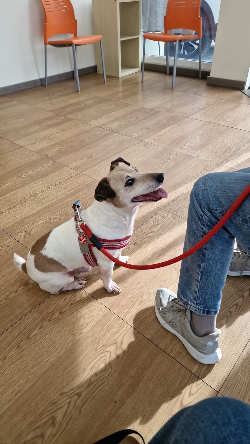 Clínica Veterinaria Málaga