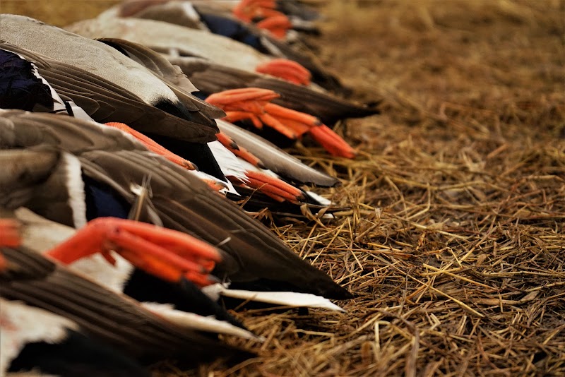 Sand Creek Outfitters - Photo 5