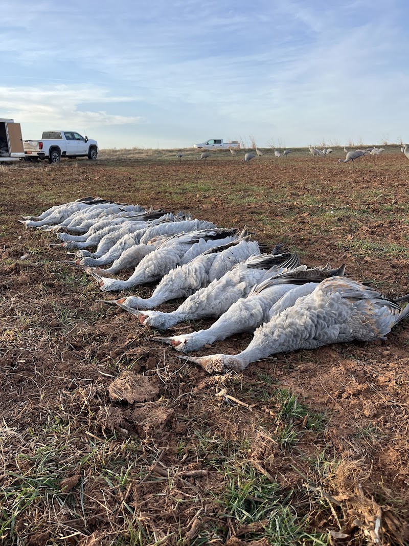 Sand Creek Outfitters - Photo 2
