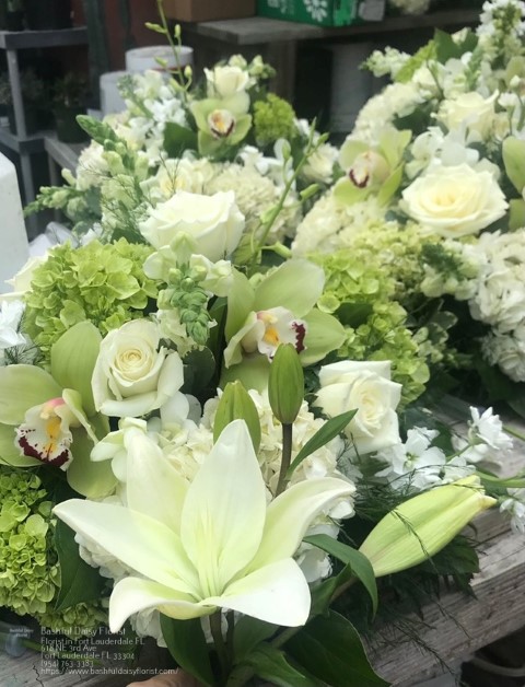 Bashful Daisy Florist: Google Places image 5