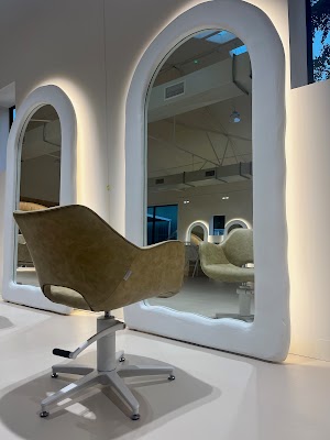 The Hair Artistry Establishment