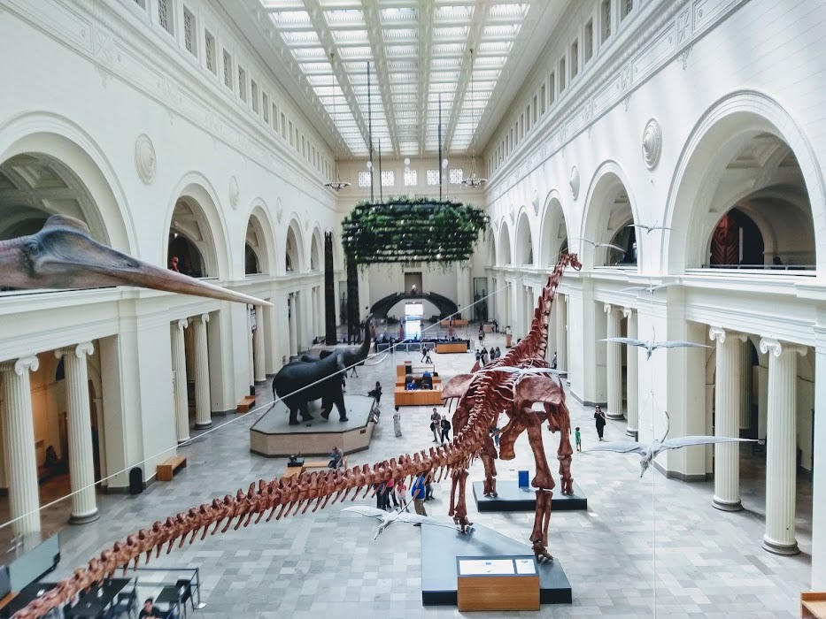 The Museum Campus fotoğraf 1