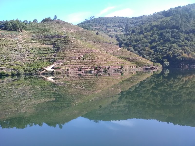 Bodega Finca Míllara photo 5